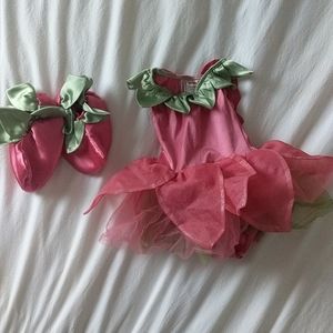 Gymboree Baby girl fairy costume 🧚‍♀️